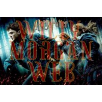 Harry Potter 14